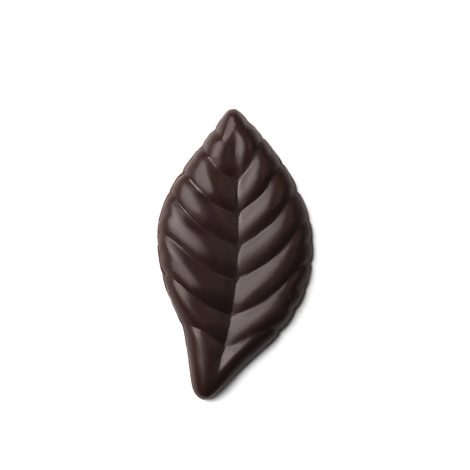 Flores Premium - Image 6